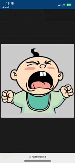 IMG_5926.png