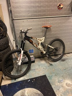 IMG_8170.jpeg