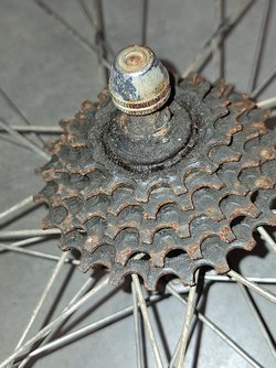 20240912_192705.jpg