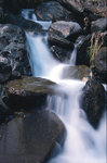 379397038_3e55272fa0.jpg