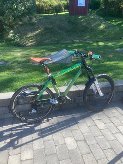 IMG_8204.jpeg