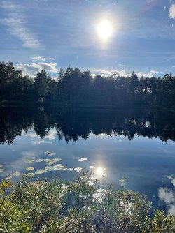IMG_2849.JPEG