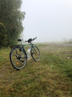 IMG_1999.jpeg