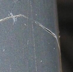 IMG_2560.jpeg