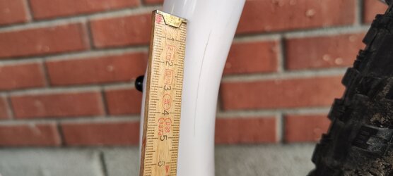 IMG_20230728_104445.jpg