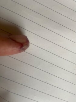 IMG_1876.jpeg