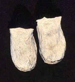 IMG_1883.jpeg