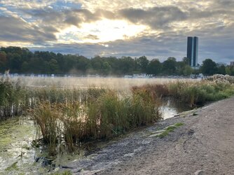 IMG_3905.jpeg
