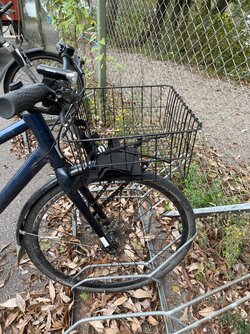 IMG_4560.jpeg