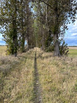 IMG_2875.jpeg