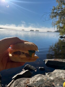 IMG_8005.jpeg