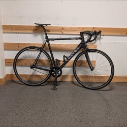 PXL_20241008.jpg