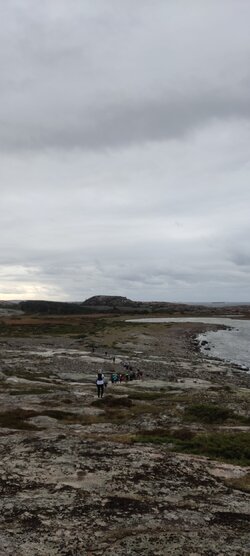 IMG_20241012_111108.jpg