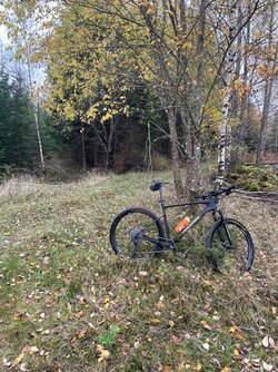 IMG_5993.jpeg