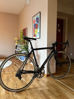 IMG_7433.jpeg