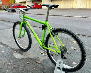 IMG_2262.jpeg