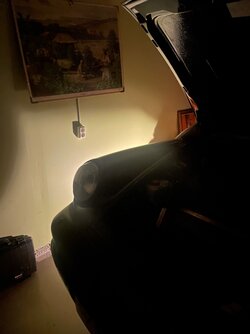 IMG_3303.jpeg