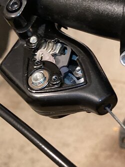 IMG_3082.jpeg