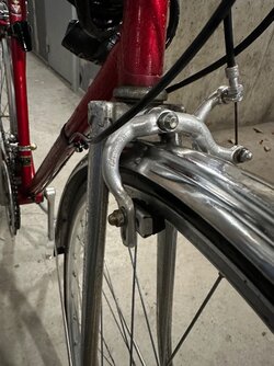IMG_5920.jpeg