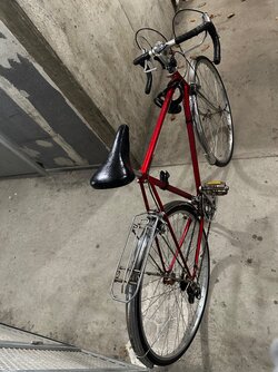 IMG_5927.jpeg