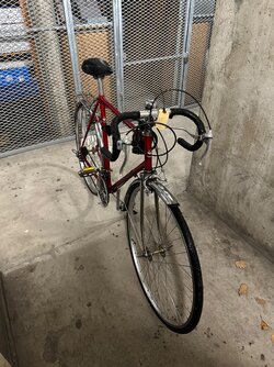IMG_5929.jpeg