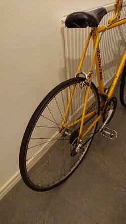 DSC_5747.jpg
