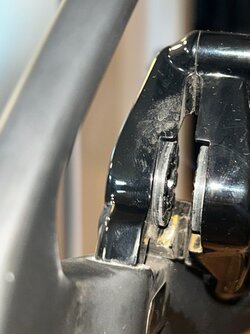 IMG_2445.jpeg