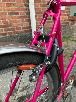 IMG_0748-1.jpeg