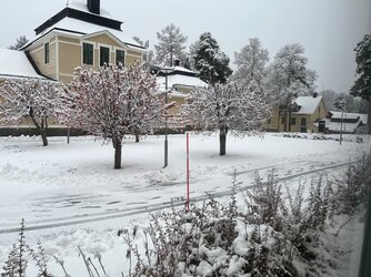 IMG_7497.jpeg