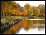 IMG_0360.jpg