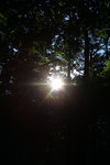 sun1.jpg