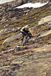 almostdecent_se-9128-copy.jpg