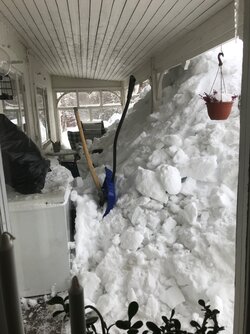 20180223_103324_IMG_0861.jpeg