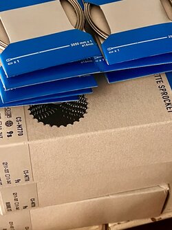 IMG_5997.jpeg