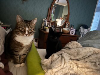 IMG_7474.jpeg