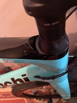 IMG_9654.jpeg