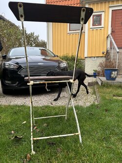 IMG_2133.jpeg