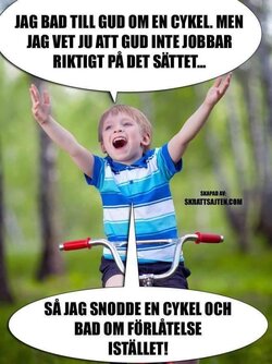 IMG_0226.jpeg