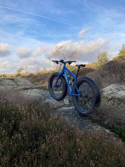 IMG_8975.jpeg