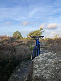 IMG_8976.jpeg