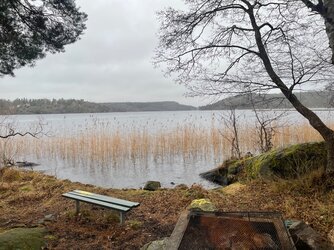 IMG_5097.jpeg