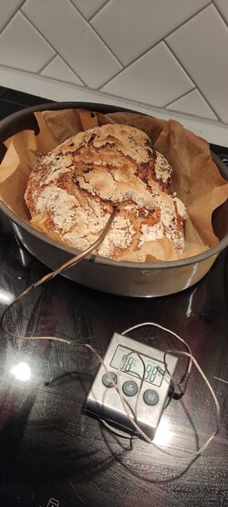 IMG_20241208_091205.jpg
