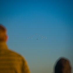 850_1716.jpg