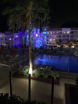 IMG_8687.jpeg