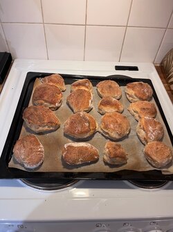 IMG_8185.jpeg