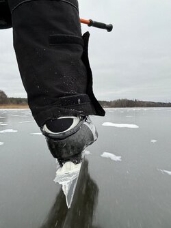 IMG_5246.jpeg