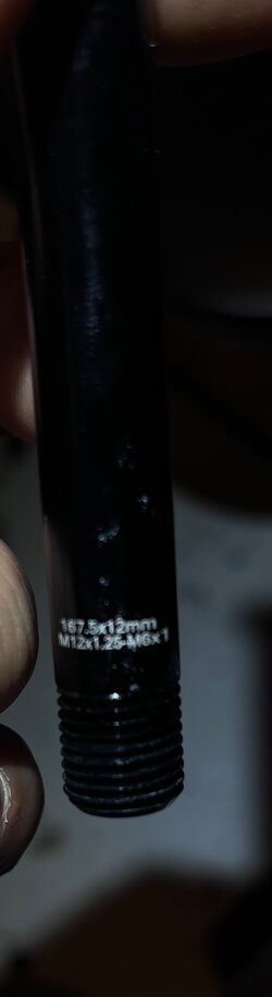 IMG_8162.jpeg
