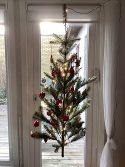 IMG_2609.jpeg