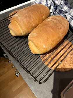 IMG_0267.jpeg