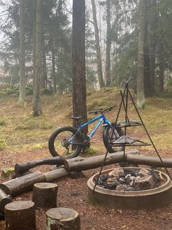 IMG_9518.jpeg
